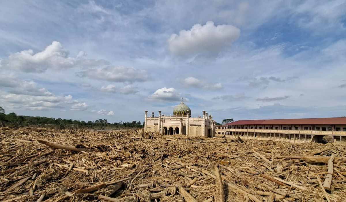 Geger! Mafia Kayu di Sumatera Terbongkar, Ini Dalang Dibalik Bencana Banjir Dan Longsor Aceh!